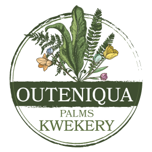 outeniqua-palms-kwekery-logo-300x300